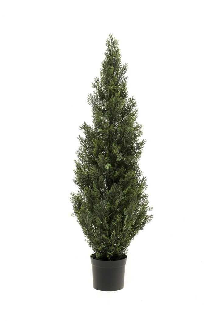 Pino UV 120cm 8