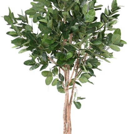 Künstlicher Ficus Audrey, ca. 310cm hoch, grün