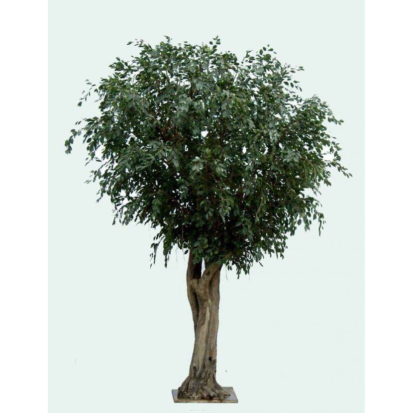 Künstlicher Ficus Baum, ca. 500cm hoch, grün