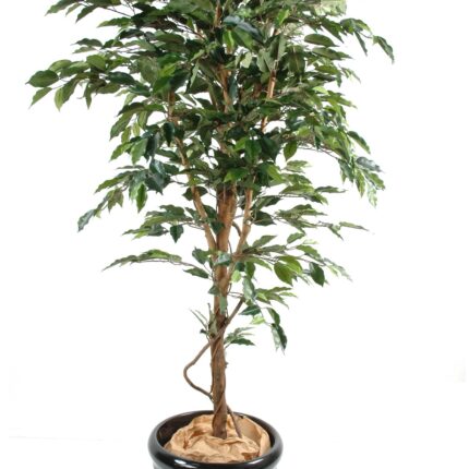 Künstlicher Ficus Baum, ca. 210cm
