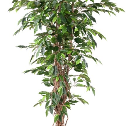 Künstlicher Ficus, ca. 180cm hoch, grün