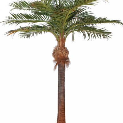 Künstliche Kokospalme, ca. 400cm, grün