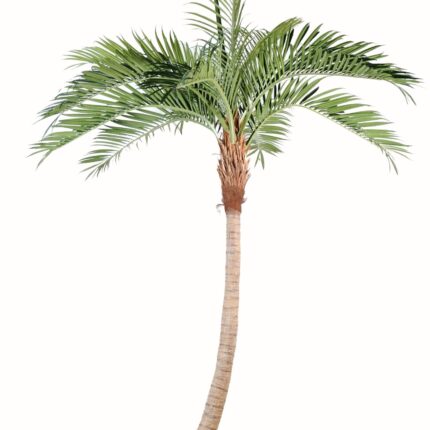 Künstlicher Kokosbaum, ca. 400cm, grün