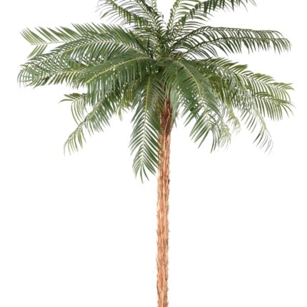 Künstlicher Phoenixbaum, ca. 260cm, grün