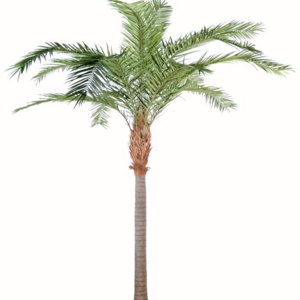Künstliche Phoenixpalme, ca. 440cm, grün