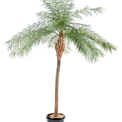 Künstlicher Phoenixbaum, ca. 190cm, grün